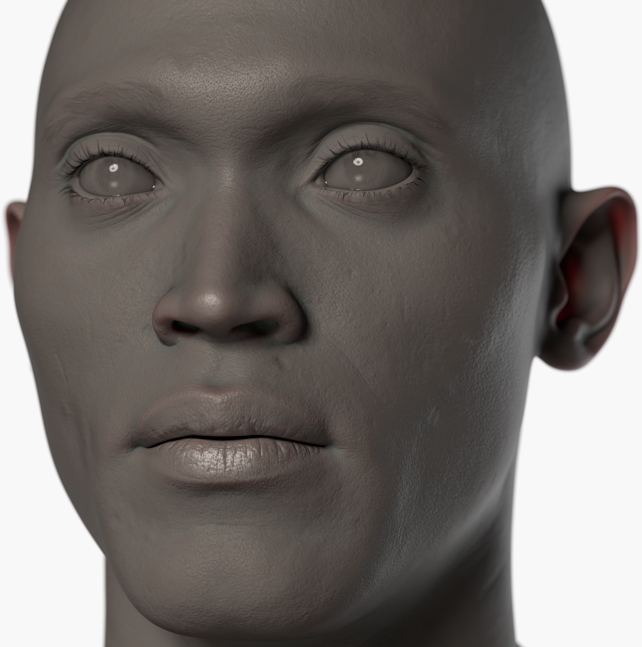 Male head scan clay render skin detail Clay render of a male head 3D scan showing fine skin pore and surface detail captured via photogrammetry